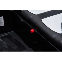 New Polar 24V Auto Elettrica 2 Posti Bambini | Toyscar