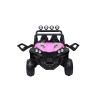 New Polar 24V Auto Elettrica 2 Posti Bambini | Toyscar