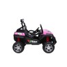 New Polar 24V Auto Elettrica 2 Posti Bambini | Toyscar